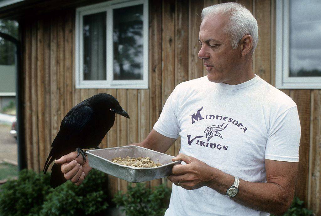 bud grant vikings