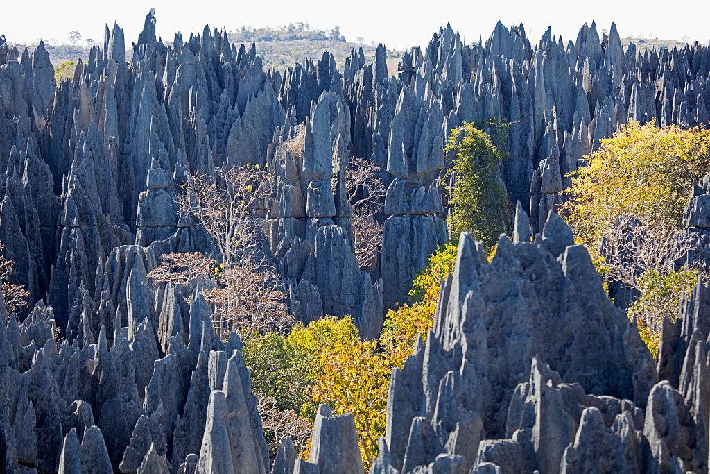 Tsingy de Bemaraha National Park