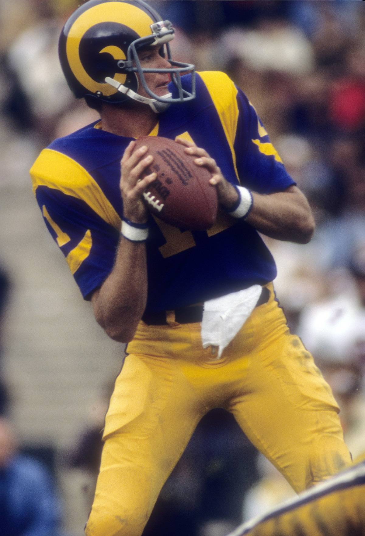 pat haden nfl