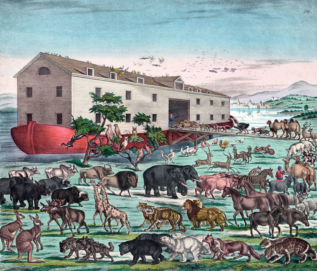 Animals entering the Ark 