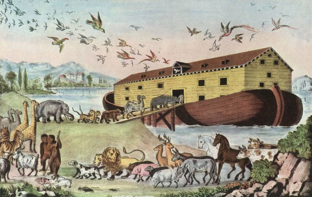 Picture of animals and the ark