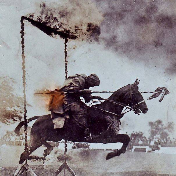 horse
