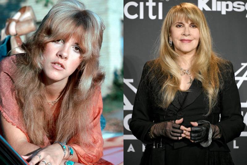 stevie nicks before and after photos