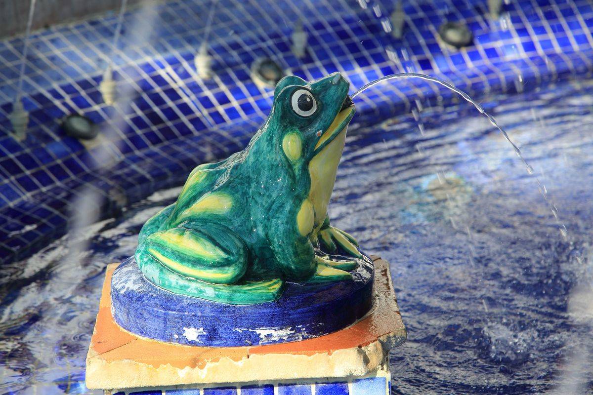Close up of ceramic frog in fountain