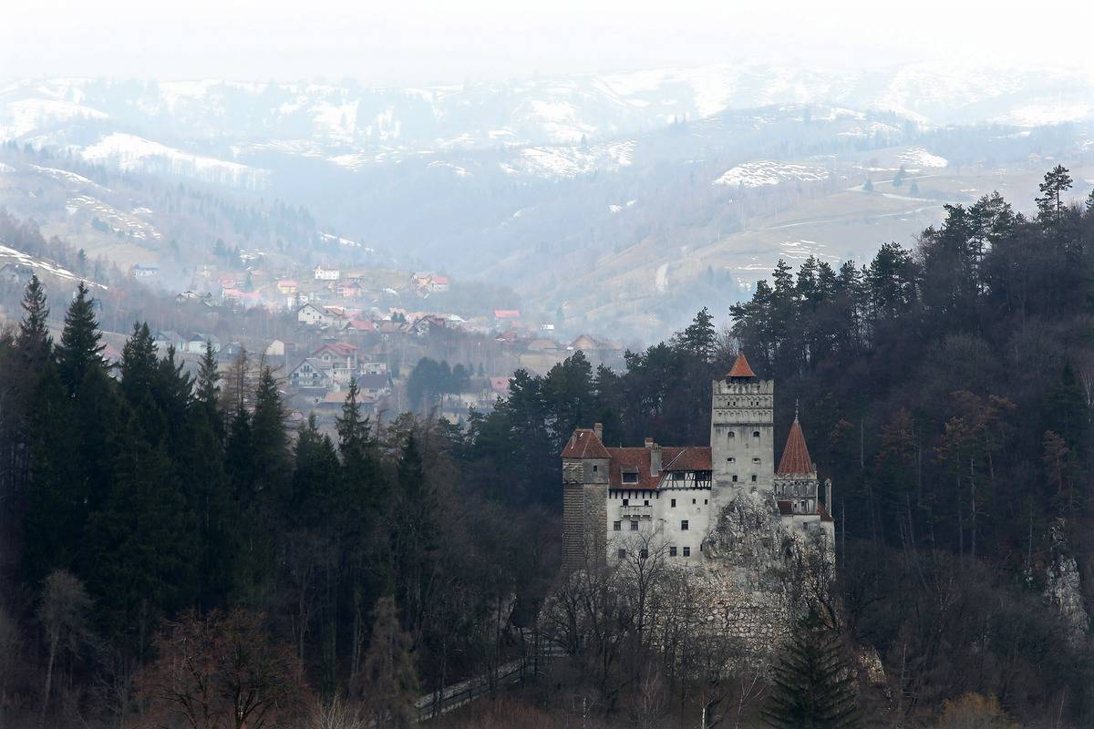 aerial view of bran's castle nestled amongst trees in mountains