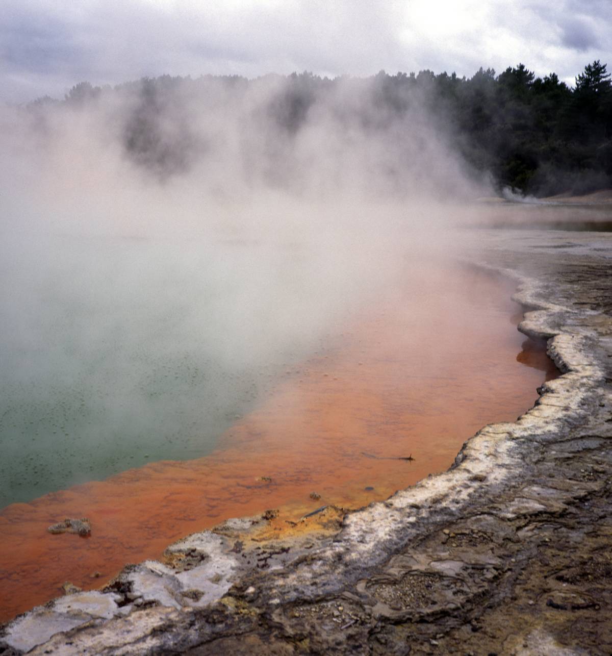 Steam rising from thermal springs of the Champagne Pool, Waiotapu, near Rotorua north island New Zealand