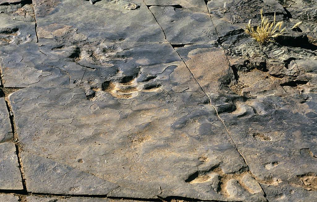 Picture of footprints