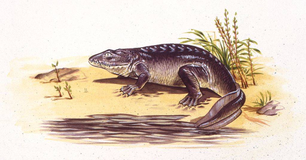 Painting of the creature