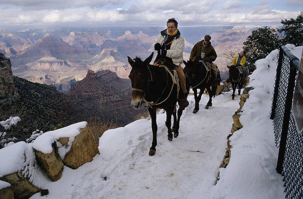 People riding horses