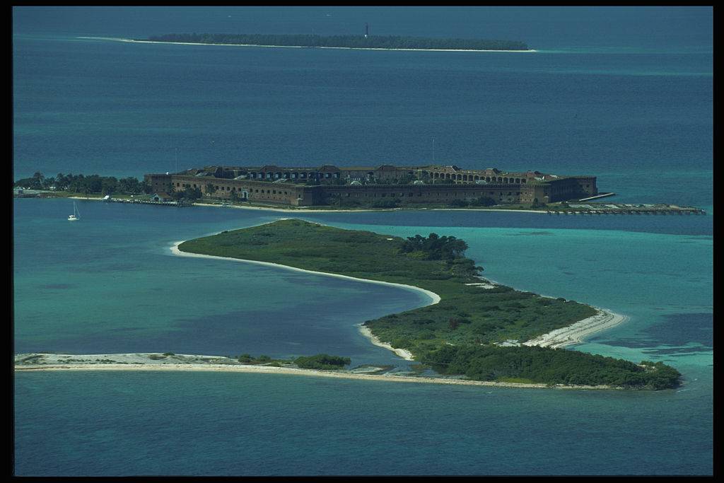 tortuga