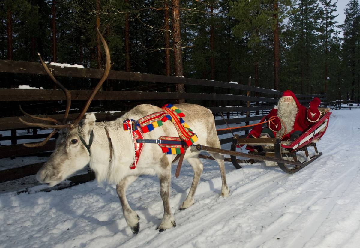 The Reindeer Names Are From a Poem