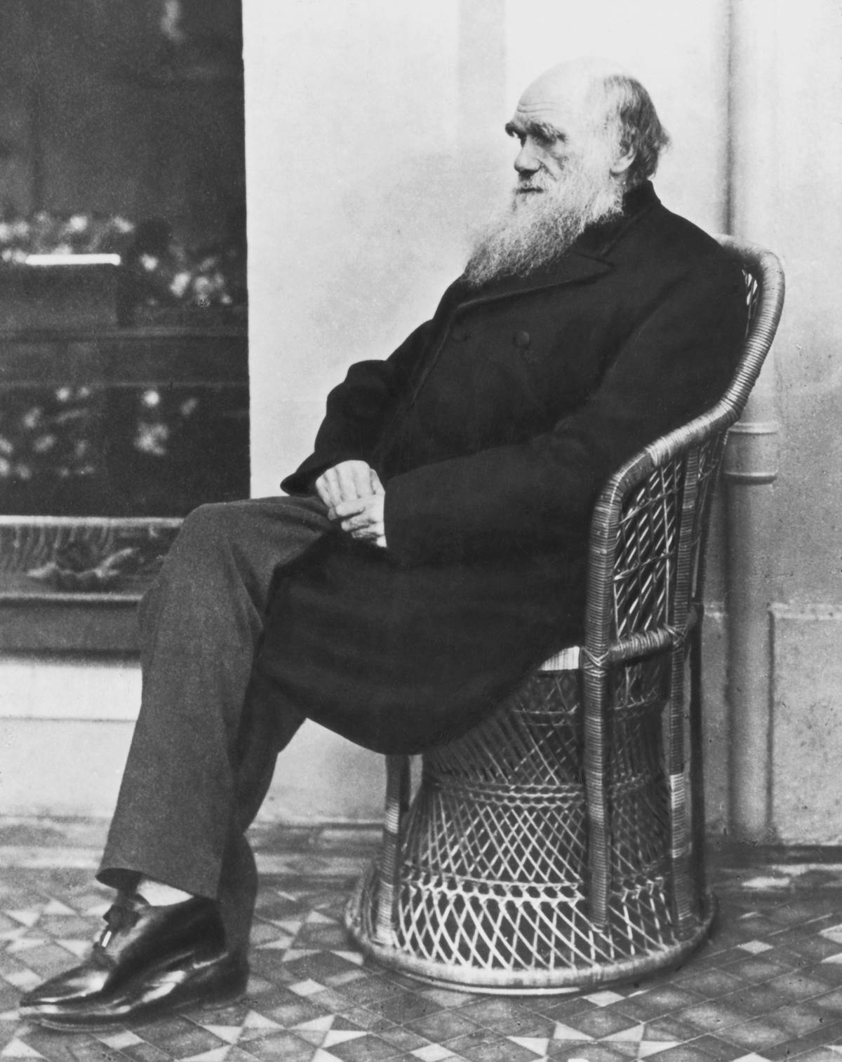 In 1875, Charles Darwin sits in a chair.