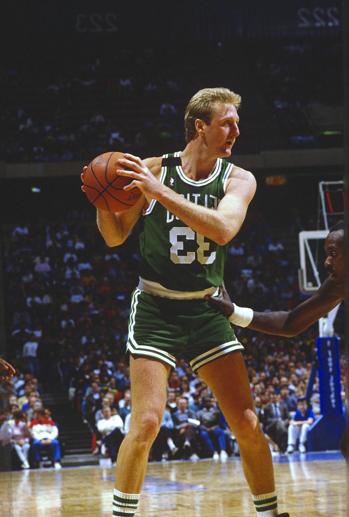 larry bird