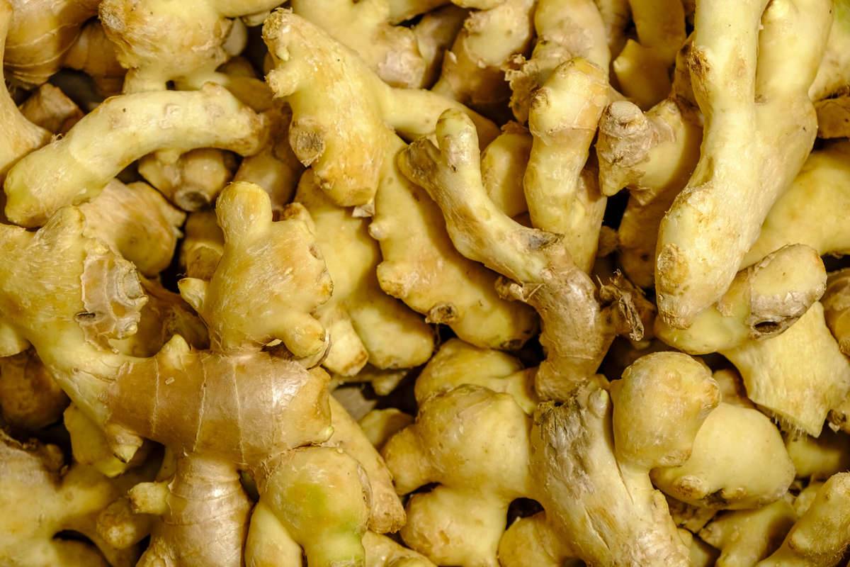 Fresh ginger roots are for sale at Nonthaburi Market...