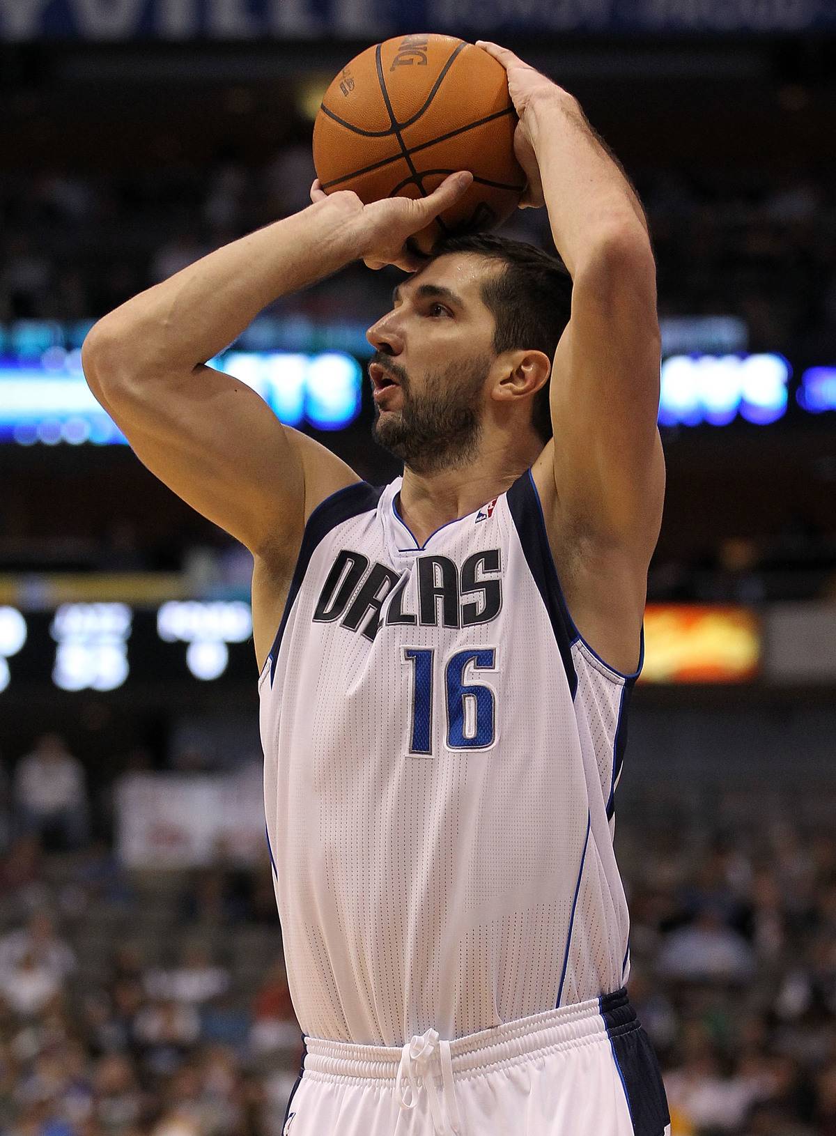peja stojakovic