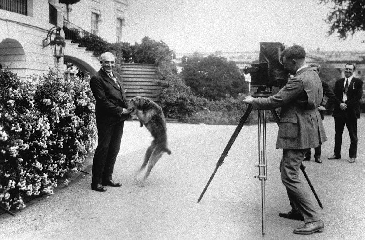 Photographer and President Warren G. Harding
