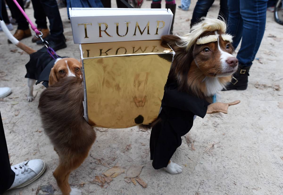 US-HALLOWEEN-DOG-PARADE