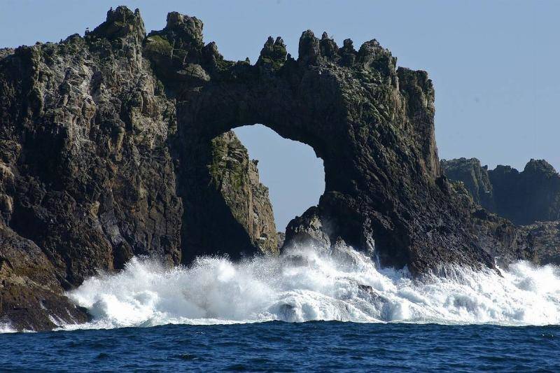 The Devil's Teeth