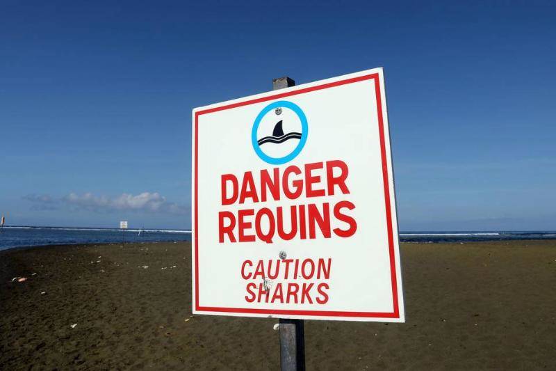 The Shark-Infested Waters Of Réunion Island