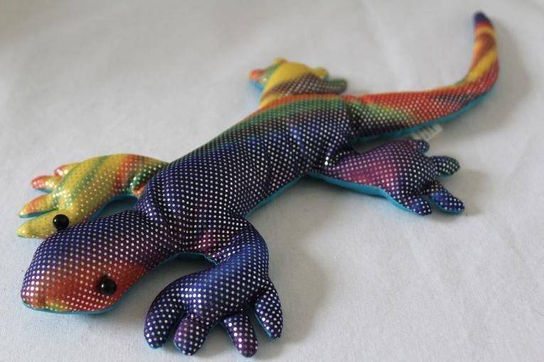 Picture of lizard