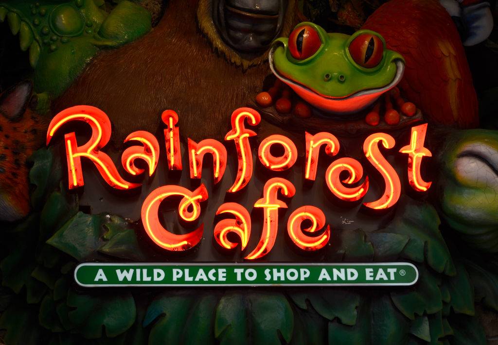 Picture of the Rainforest Cafe