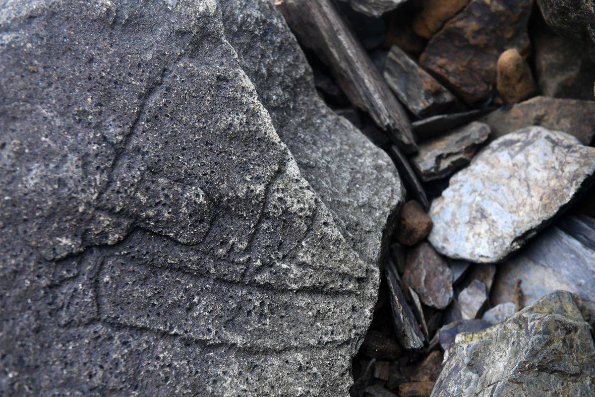 A carving on the side of the boulder portrays a boat.