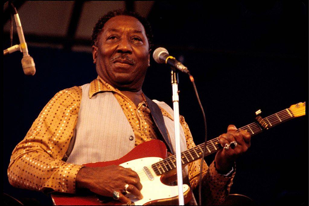 Picture of Muddy Waters