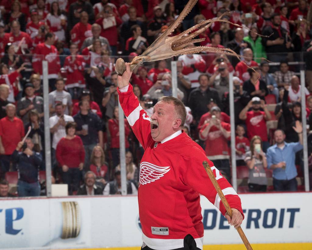 Picture of Red Wings