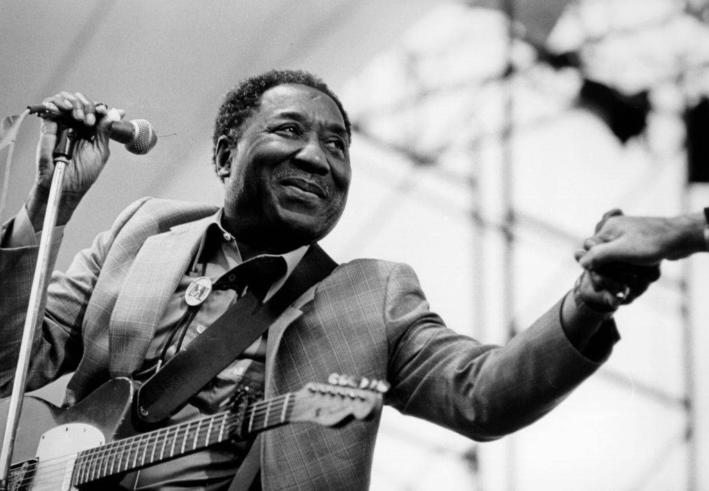 Picture of Muddy Waters