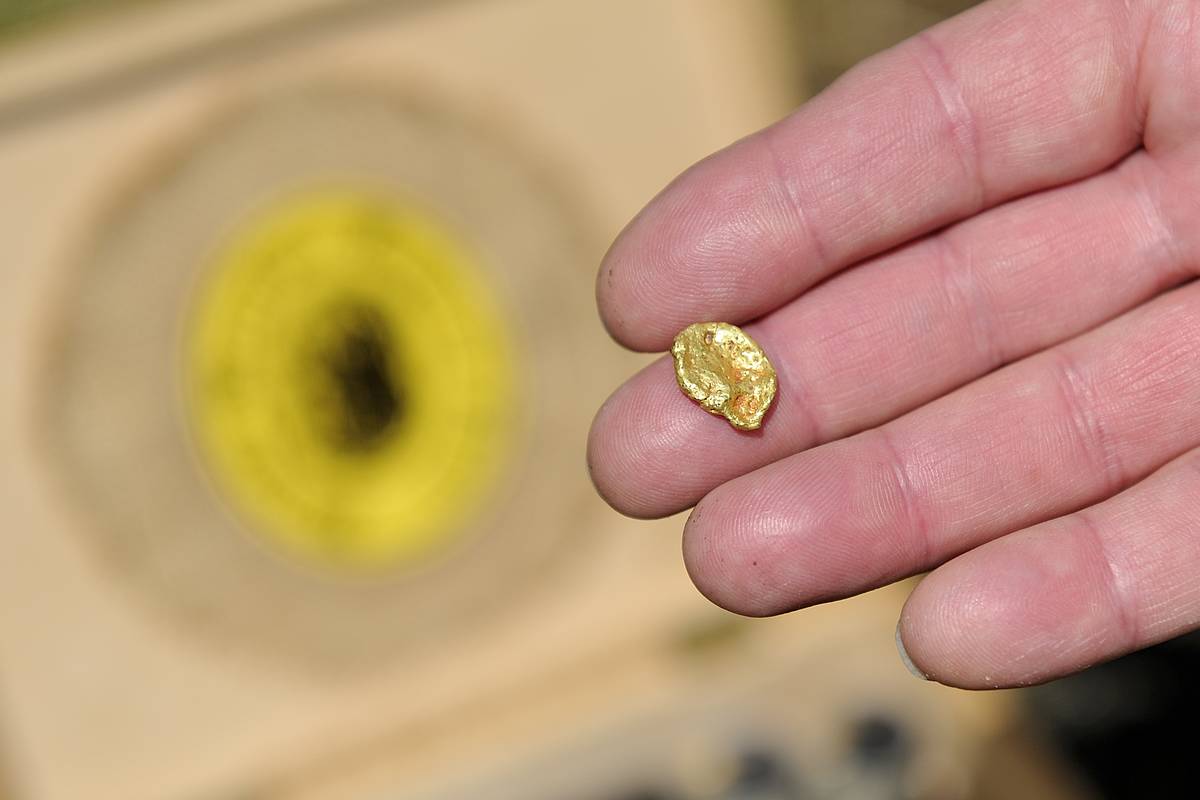 gold-nugget