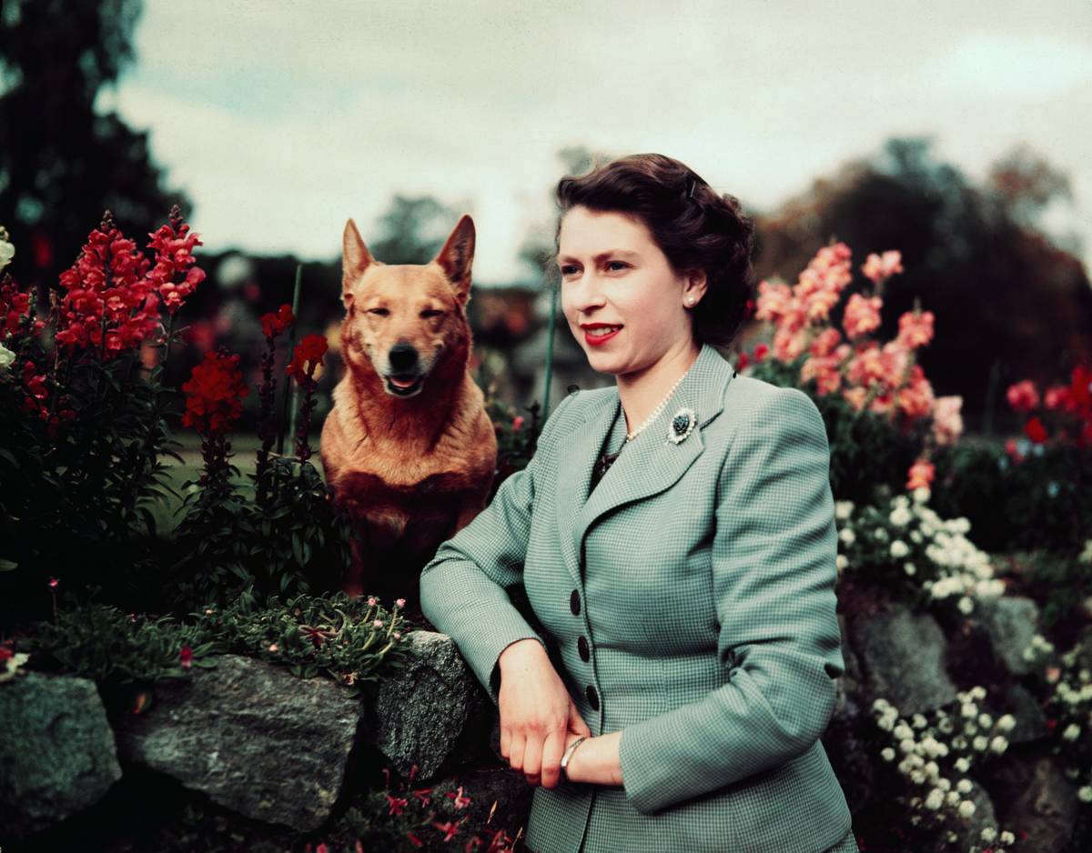 queen-elizabeth-ii-1952