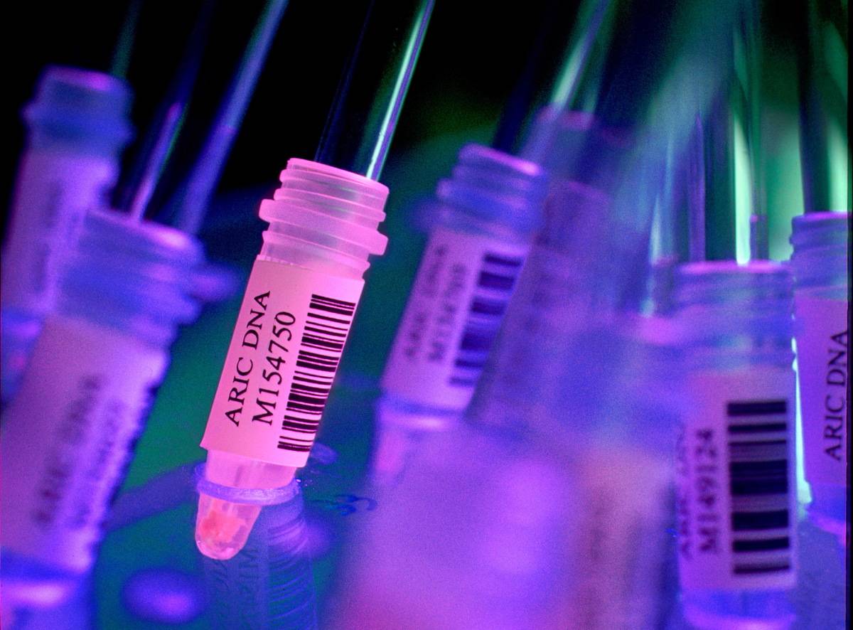 DNA samples are illuminated in blue and purple light in a laboratory.