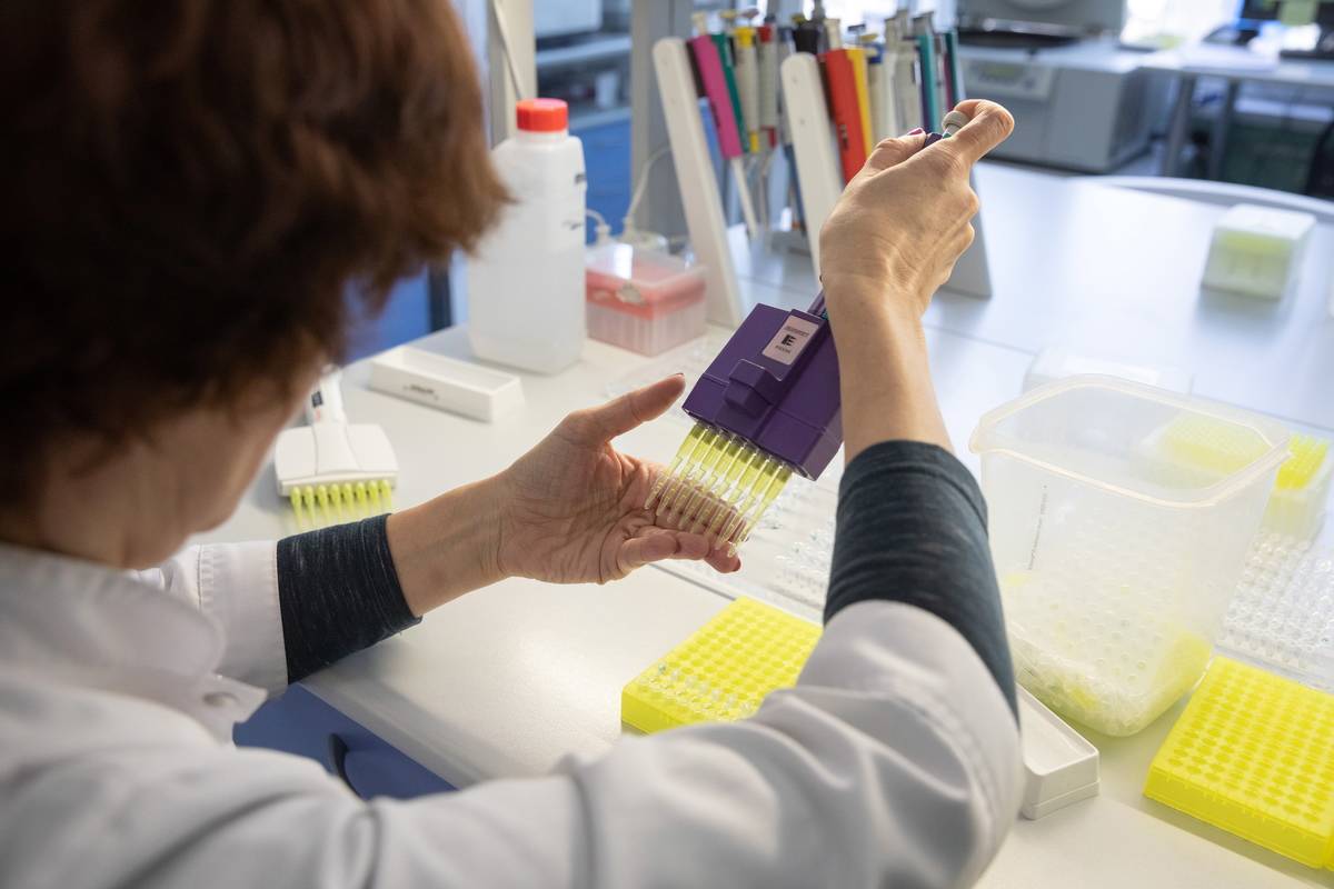 A woman prepares DNA samples for studying.