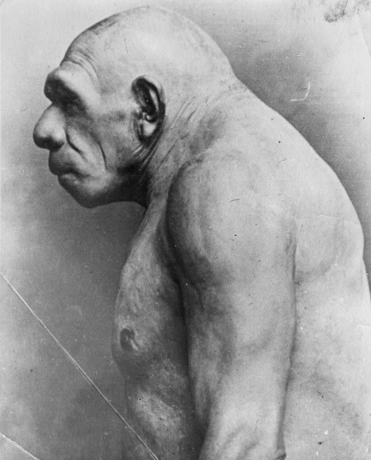 A pre-historic man was constructed based off of bones found in 1920.