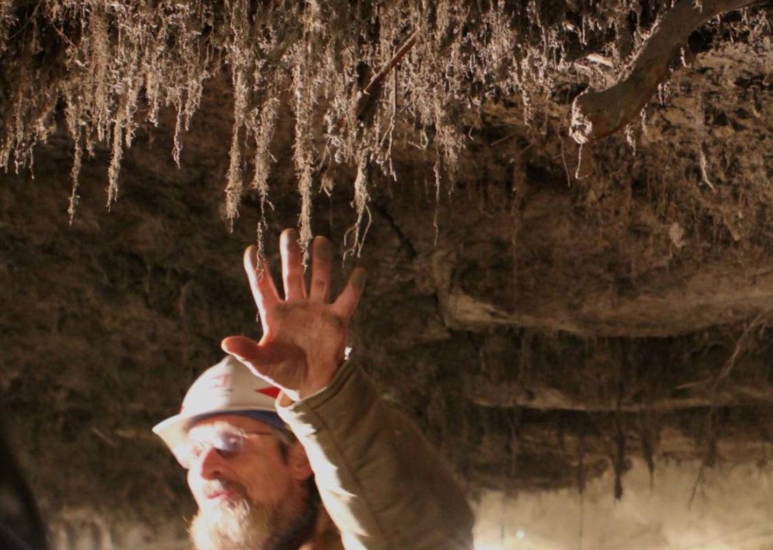 A scientist touches grass from the Ice Age in an Alaskan research lab.