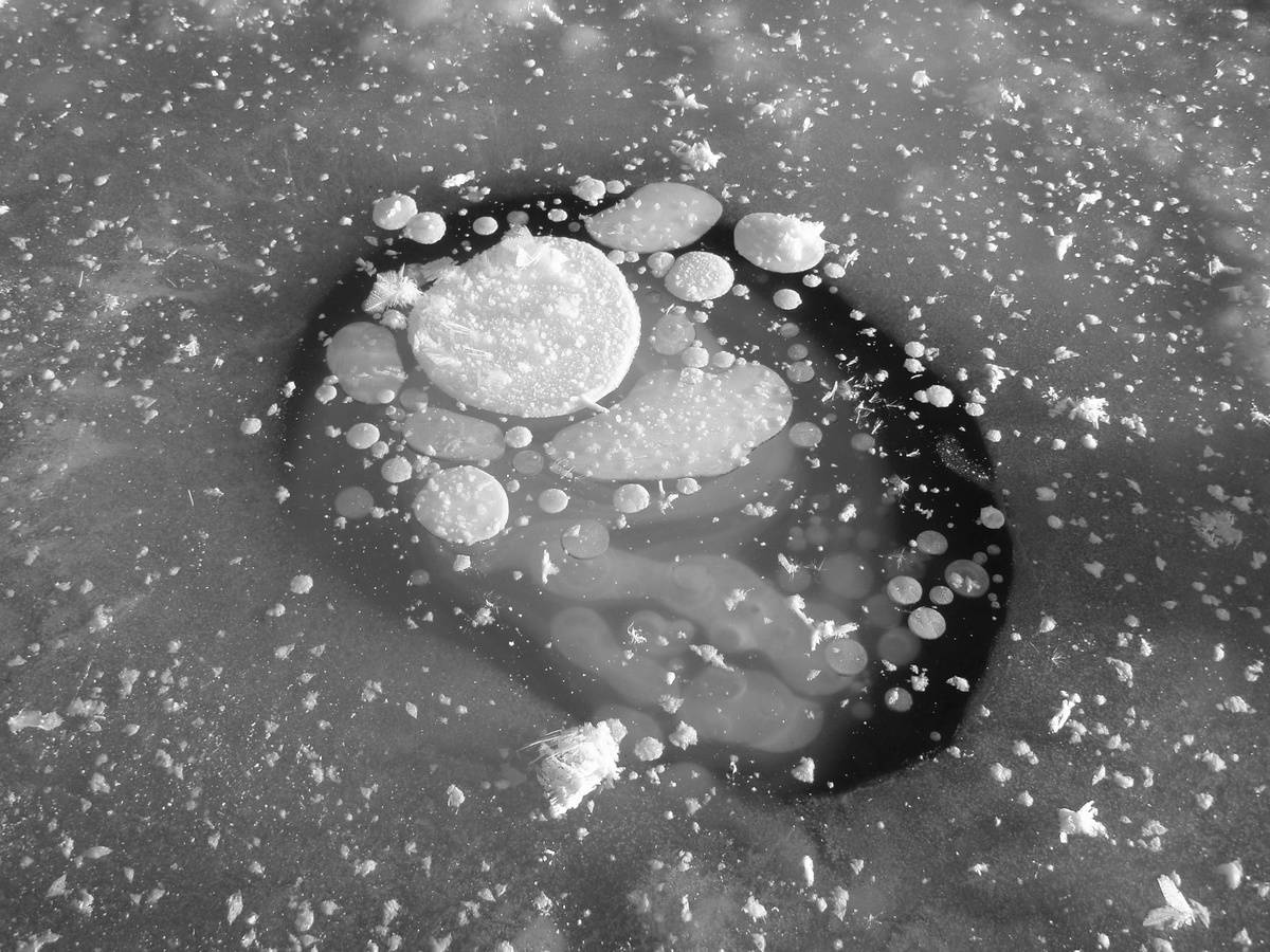 Methane gas bubbles are trapped in lake ice.