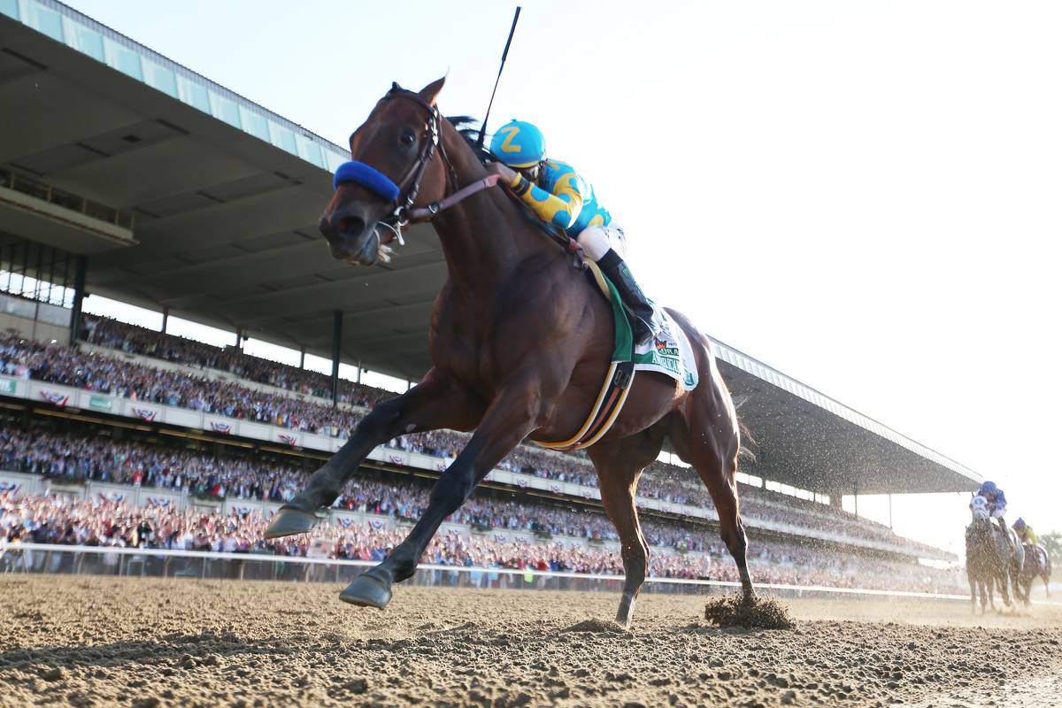 American Pharoah speeds toward the finish line during a 2015 race.