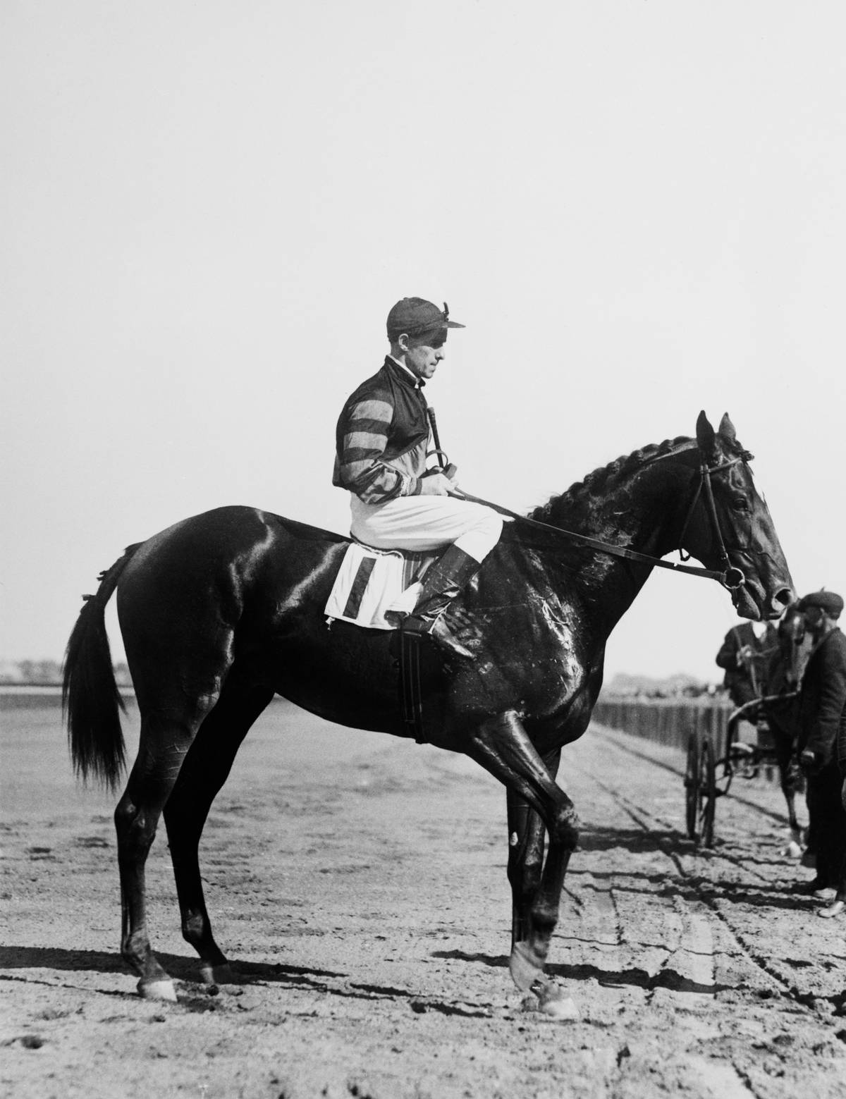 A man rides the famous racehorse Man O'War, 1919.