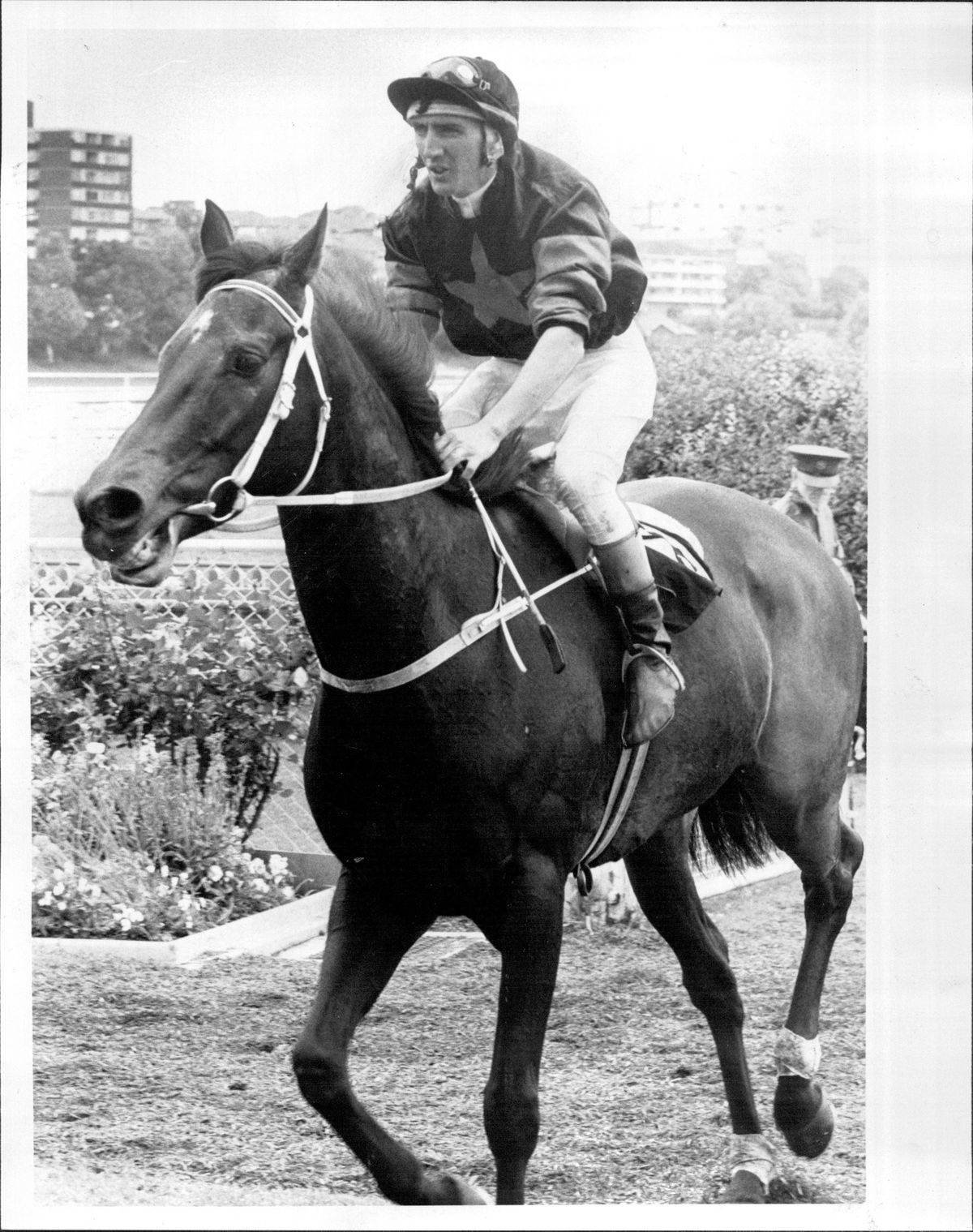 A rider rides on the racehorse Nearco, 1985.
