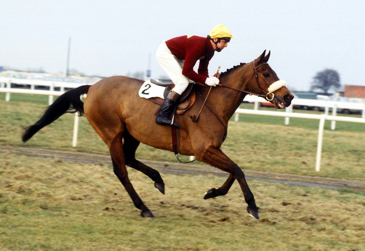 Red Rum competes in a race in 1978.