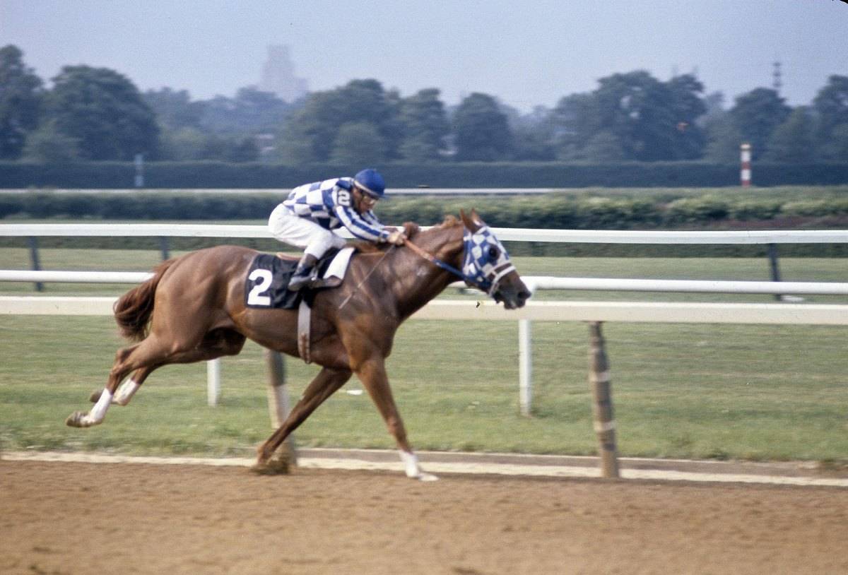 Secretariat runs during a race, 1973.