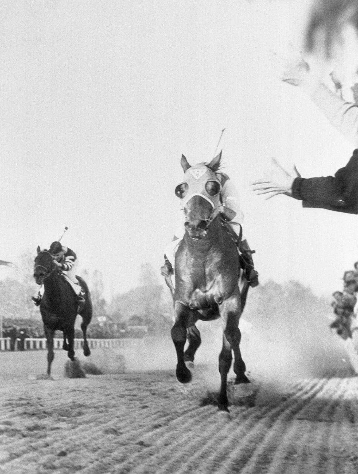 Seabiscuit runs past the crowd during a horse race.