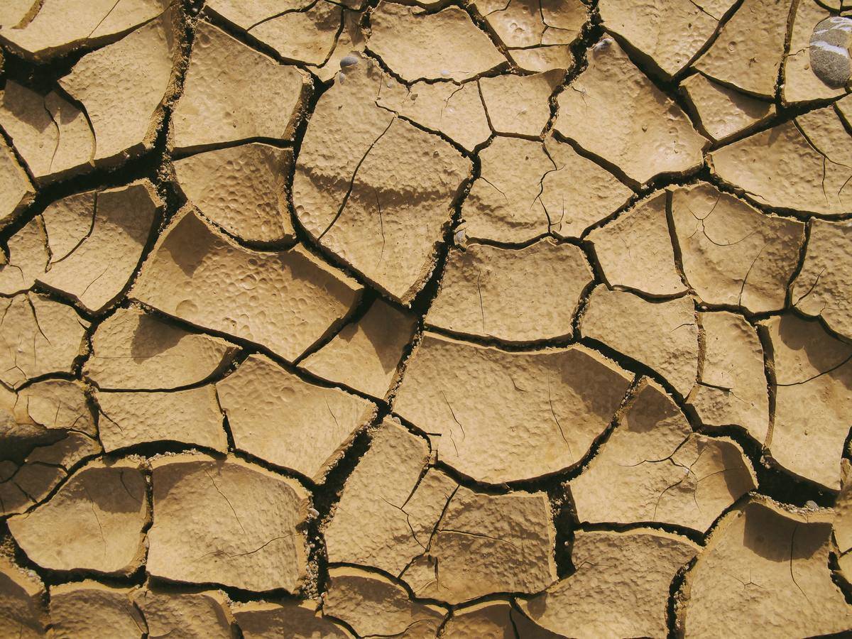 Dry and cracked light brown clay.