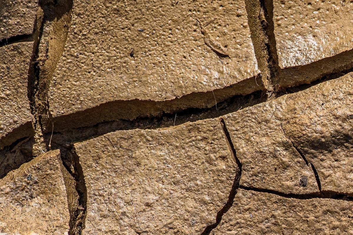cracks running through the ground