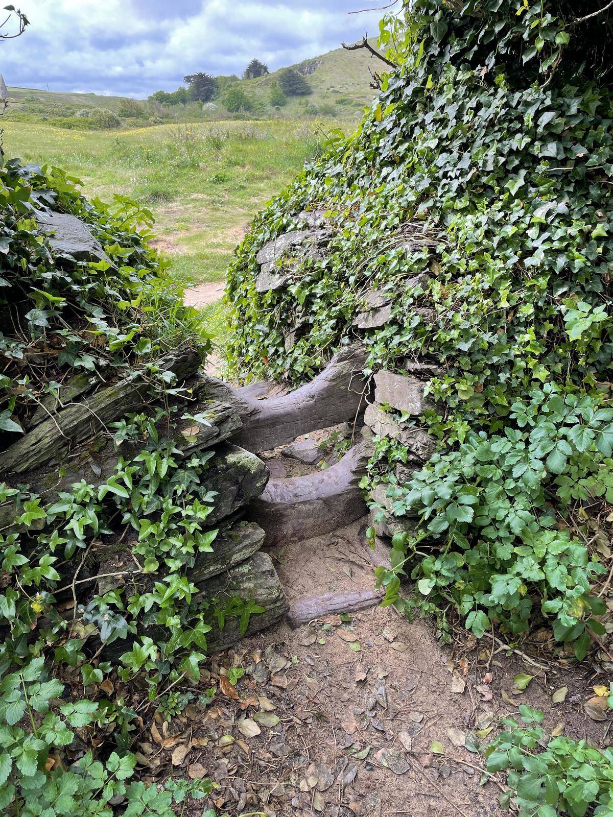 Stone and wood footpath worn down over decades
