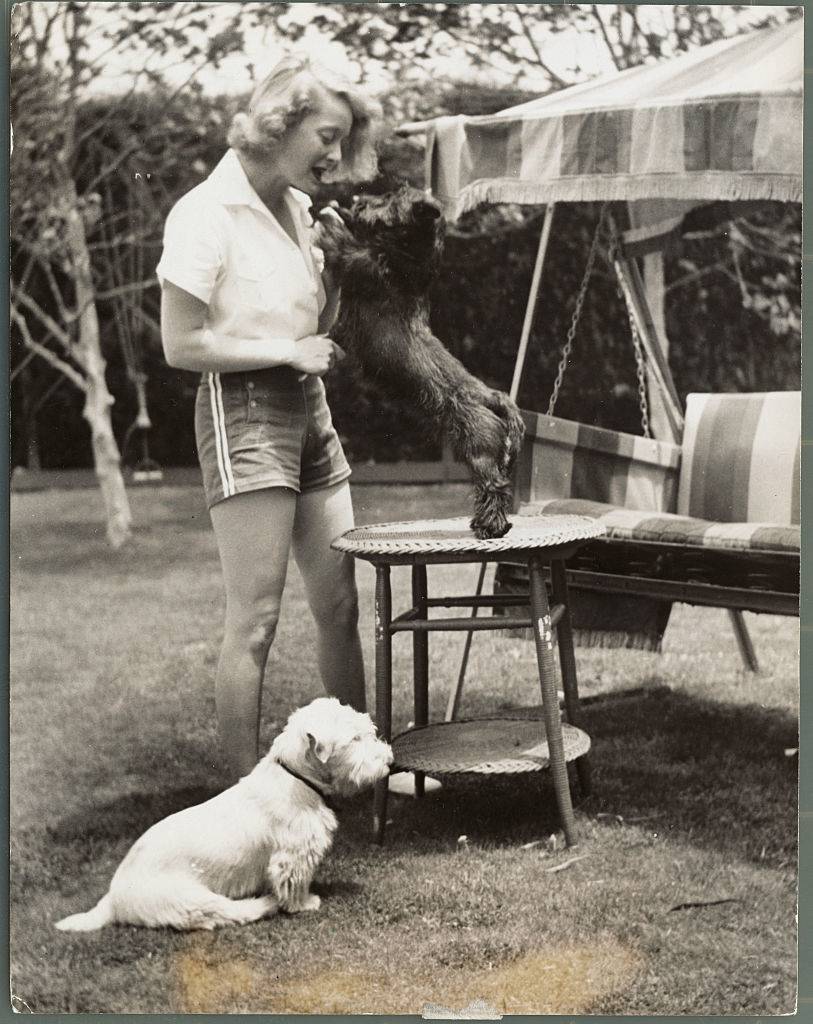 bette davis playing with her dogs