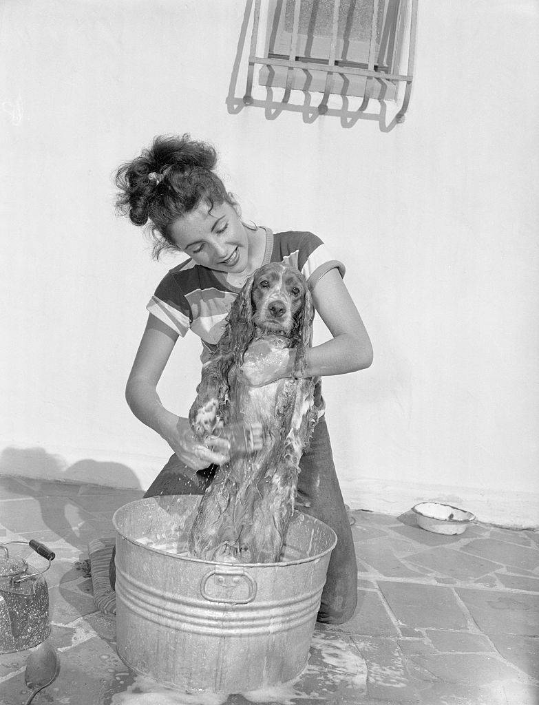 elizabeth taylor giving her dog a bath at home