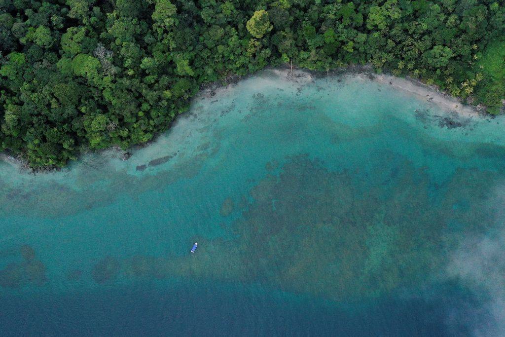 Aerial view of Gorgona Island