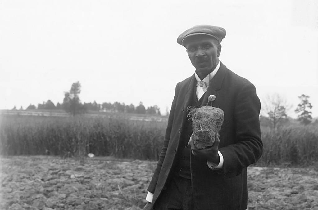 Picture of George Washington Carver standing in field