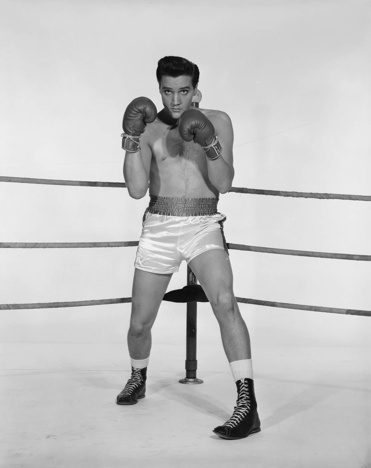 Boxing Elvis